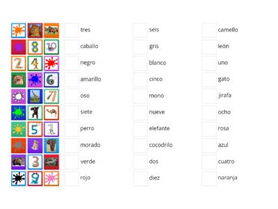 colours, numbers and animals