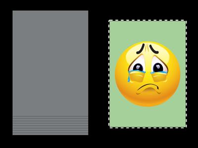 Emotions (recap) 