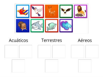 clasificación de los animales