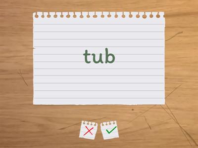 CVC, CCVC, and CVCC Flashcards