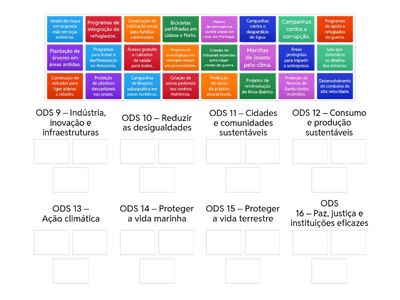 ODS- Carolina e Rodrigo