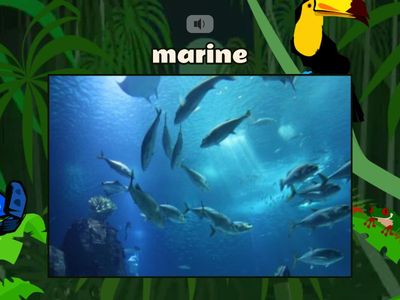 Unit 7 - A Closer Look 1 - Flying Fruit