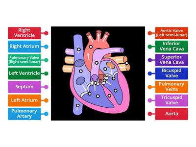 Heat labelling activity