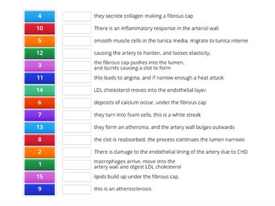 CAX  KS5   stages of atherosclerosis put them in order 