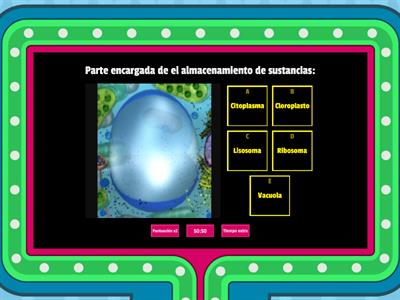 Partes de la celula.