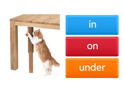   in, on, under, between