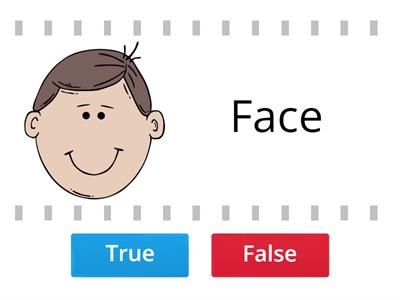 Body Parts Seconda Primaria