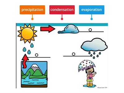 Label the Water Cycle