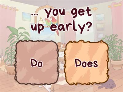 Do/Does 