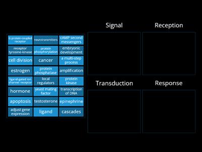 Cell communication sort