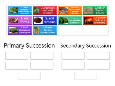 Primary (1) and Secondary (2) Succession