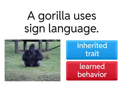 1.  Inherited Traits or Learned Behaviors