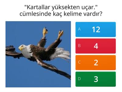 Kelime sayılarını bulunuz.