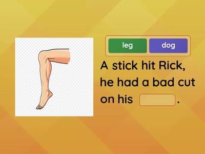  FUN Sentence Reading Module 6