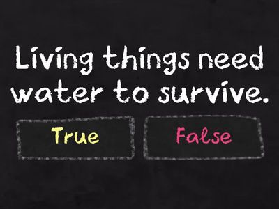 Living & Non-Living Things