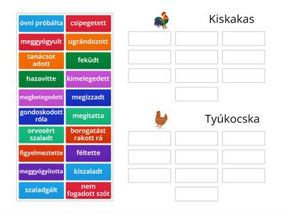 Nem fogadott szót a kiskakas