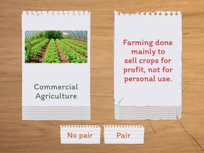 U2M4 - American Studies - Vocabulary 