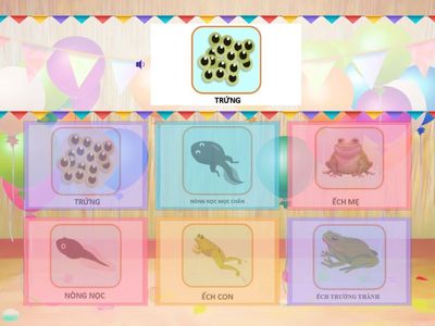 TRÒ CHƠI: ẾCH CON TÌM MẸ
