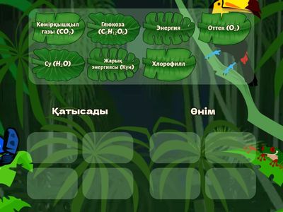 Фотосинтез