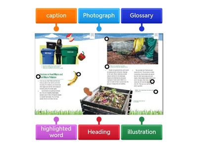 U3W1:  Text and Graphic Features