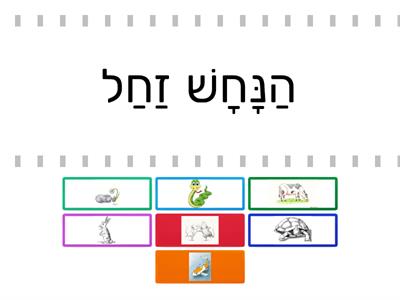 משפטים קמץ פתח שווא