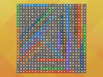 Spelling bee- 6th grade 