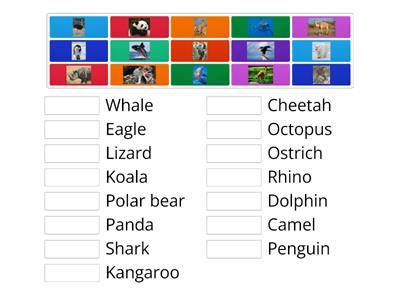 Animals ( grade 5)