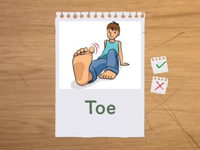 Monster Truck FCD Minimal Pairs - /t/ and /d/