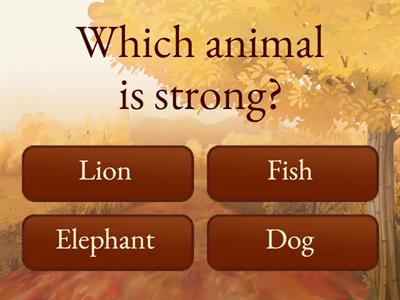 Which Animal Is...?