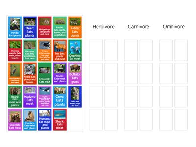 Types of Consumers Sort