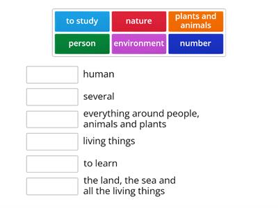 Bio-Eco-logy lesson