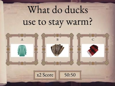 Wh question for Duck