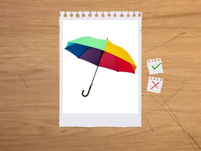 Own it 1 _ Accessories