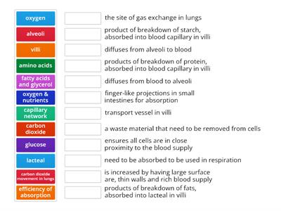 N5 Bio 2.7 Absorption of materials