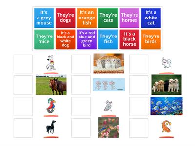 KIDS BOX 1 - Unit 5 lesson 2