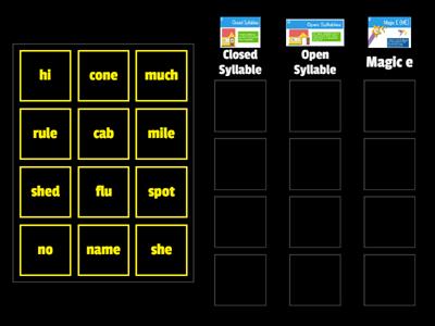 Sort the Syllable Type