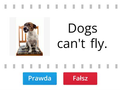 Prawda czy fałsz Can