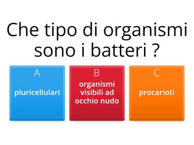 Batteri, virus e funghi medie