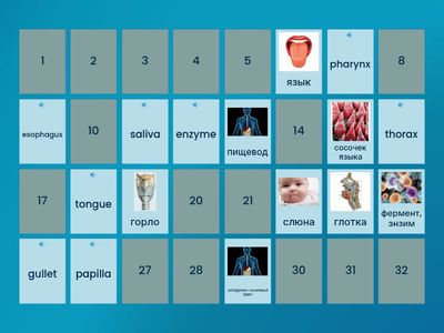 Дегенеративная система (3 курс)