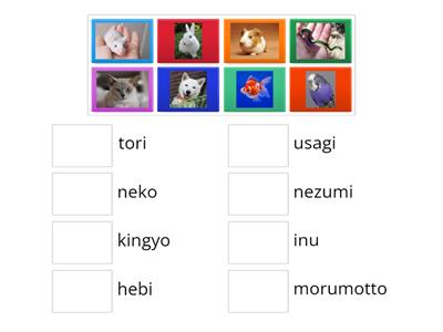 Year 7 Japanese Pets