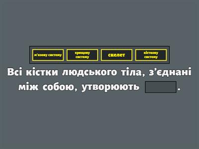 Опорно-рухова система людини 