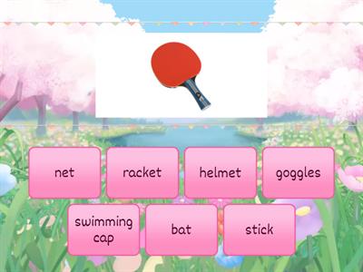 Wider World Starter Unit 8.7 CLIL Sports equipment