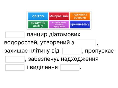 Висновок. Практична робота № 5.  Будова панцира навікули