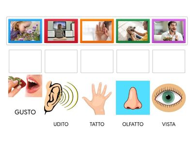 I cinque sensi