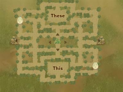 This, that, these, those