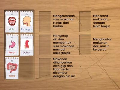 3.3 SISTEM PENCERNAAN SAINS TAHUN 3