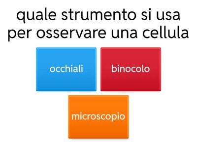cellule bambini 5 elementare