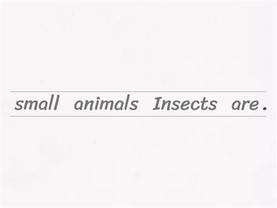 Unjumble Facts (Insect Edition)