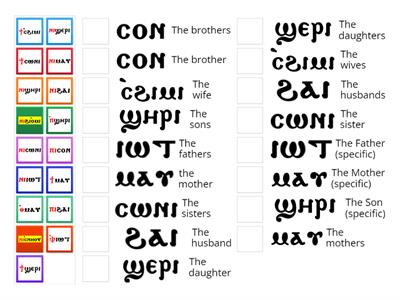 Definite Article (the)