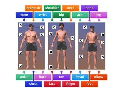 Insight elementary unit 7